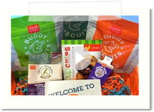 Pets Love Toys August Box Review