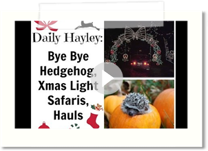 Daily Hayley- Bye Bye Hedgehog, Xmas Light Safaris, Candle Haul
