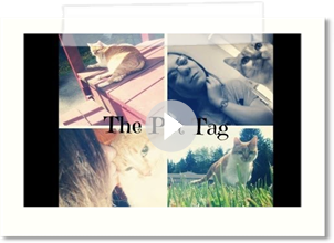 Pet Tag | Tag Tuesday