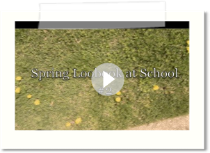 Spring Lookbook for School #2