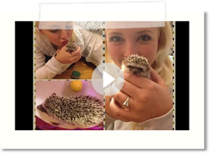 Hedgehog 1 Week Update