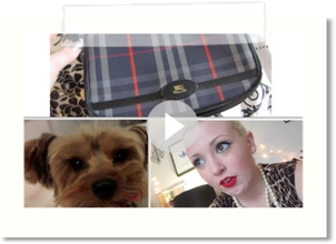 Daily Hayley - Vintage Burberry Purse, Toothless Puppy, One Direction - 3/30 - 4/2