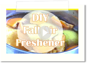 DIY HOMEMADE AIR FRESHENER!