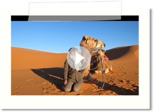Camel Ride in the Sahara Desert, Morocco